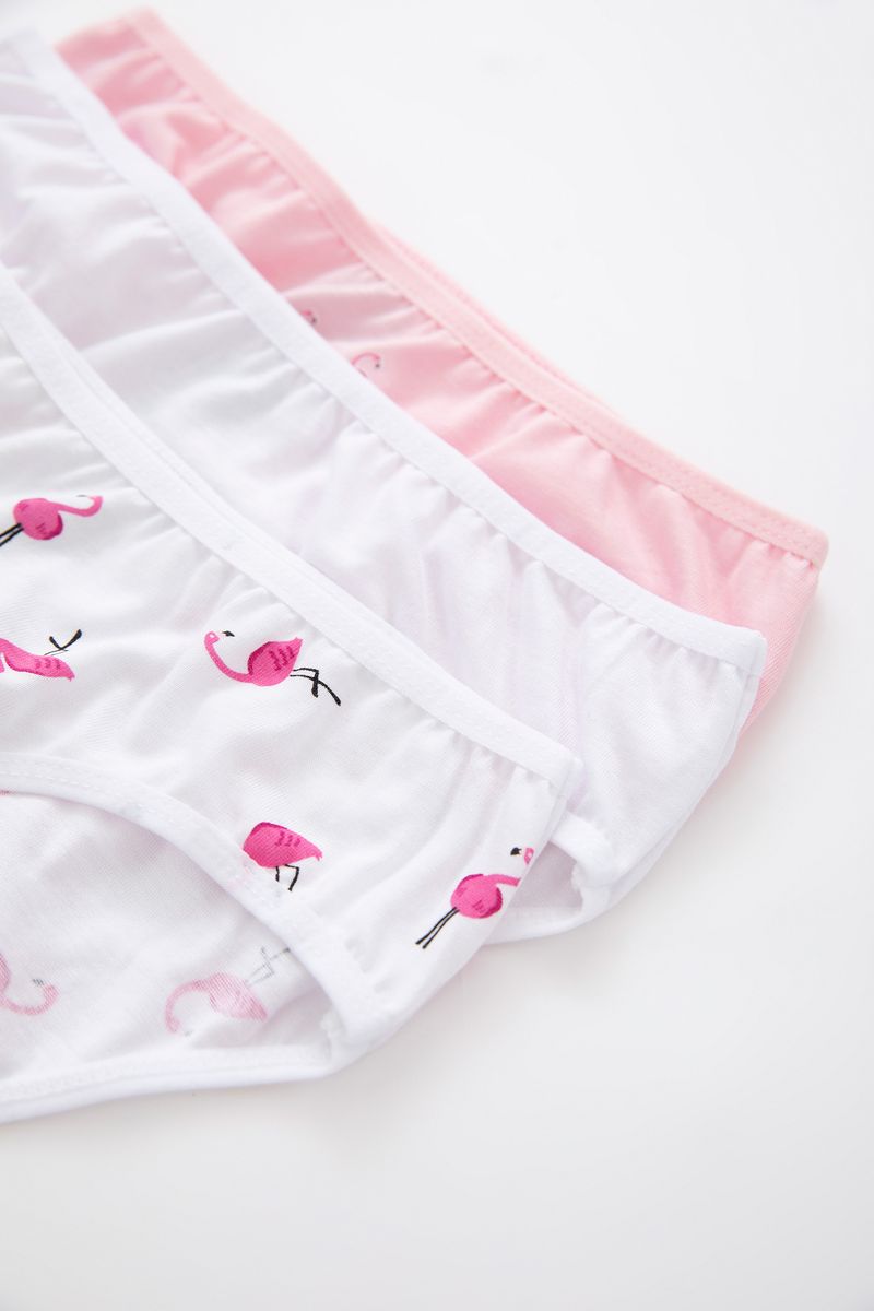 3 Piece Set Girl Underwear Regular Fit Slip -Multicolor