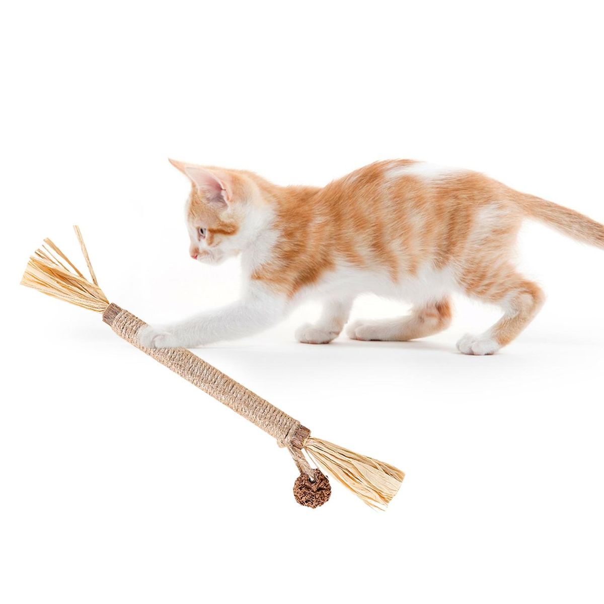 Pet Molar Toy Cat Teaser Pet Stress Relief Toy