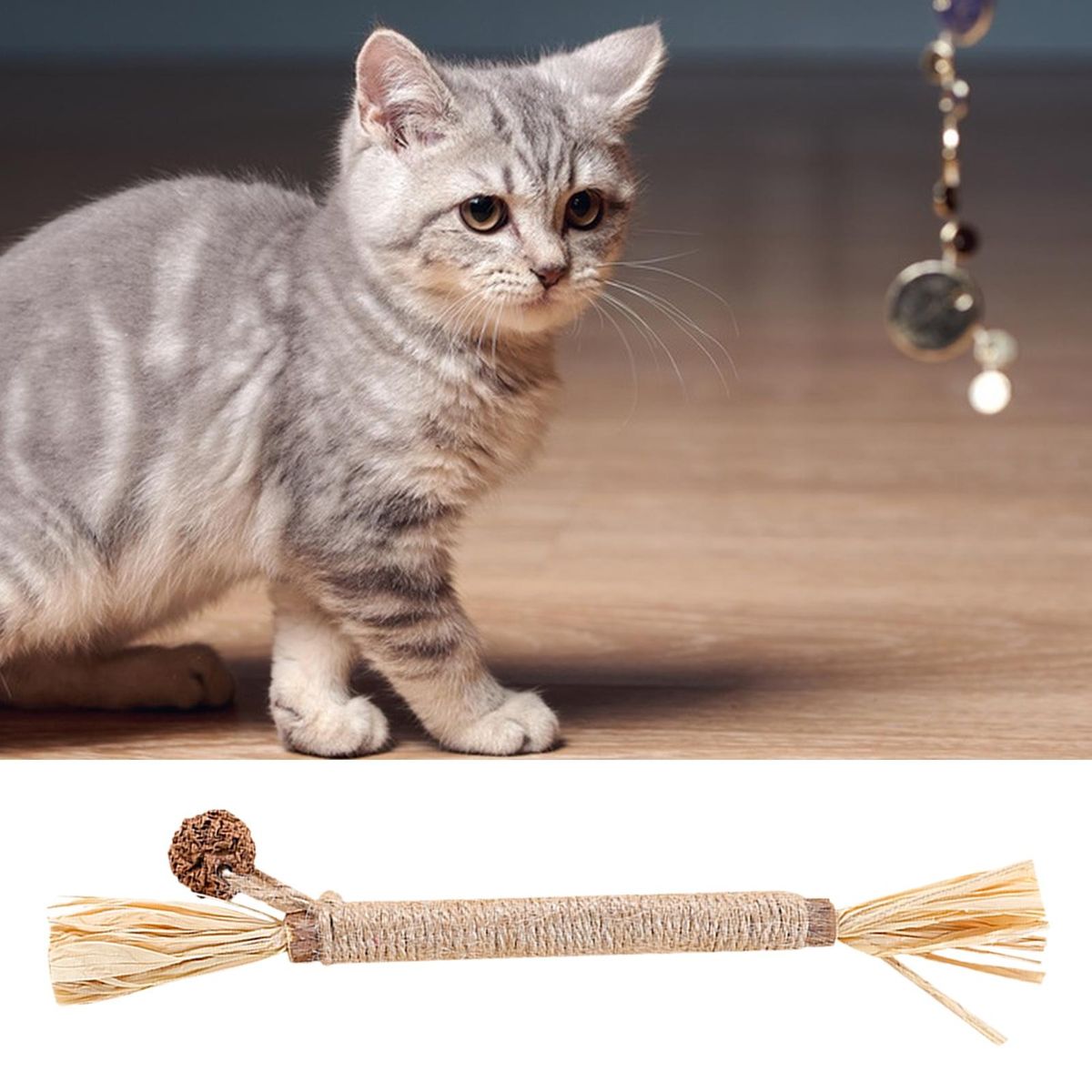Pet Molar Toy Cat Teaser Pet Stress Relief Toy