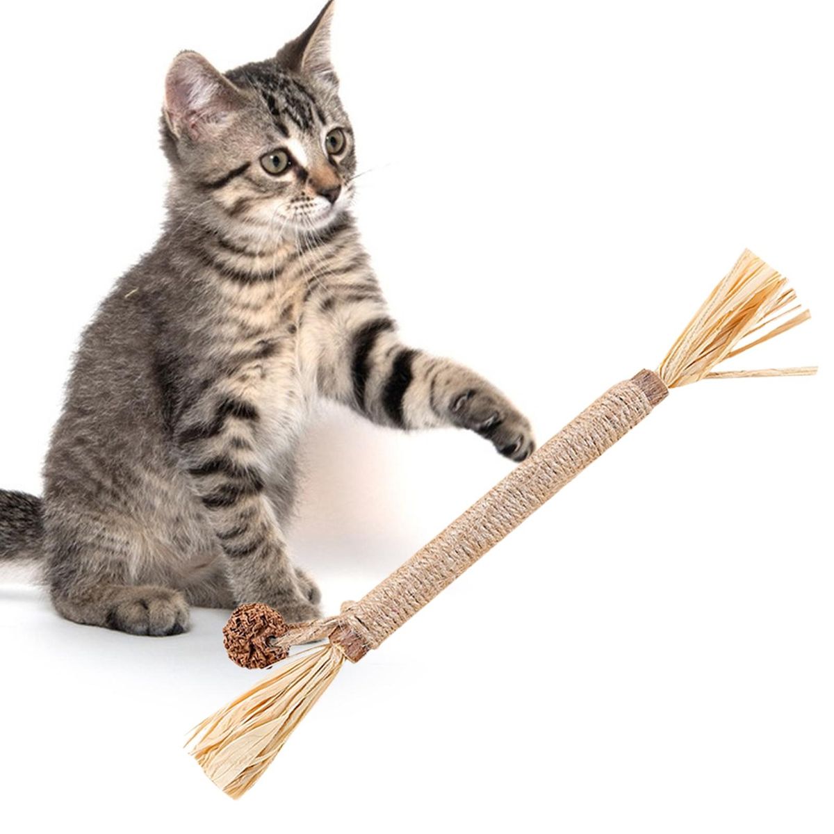 Pet Molar Toy Cat Teaser Pet Stress Relief Toy