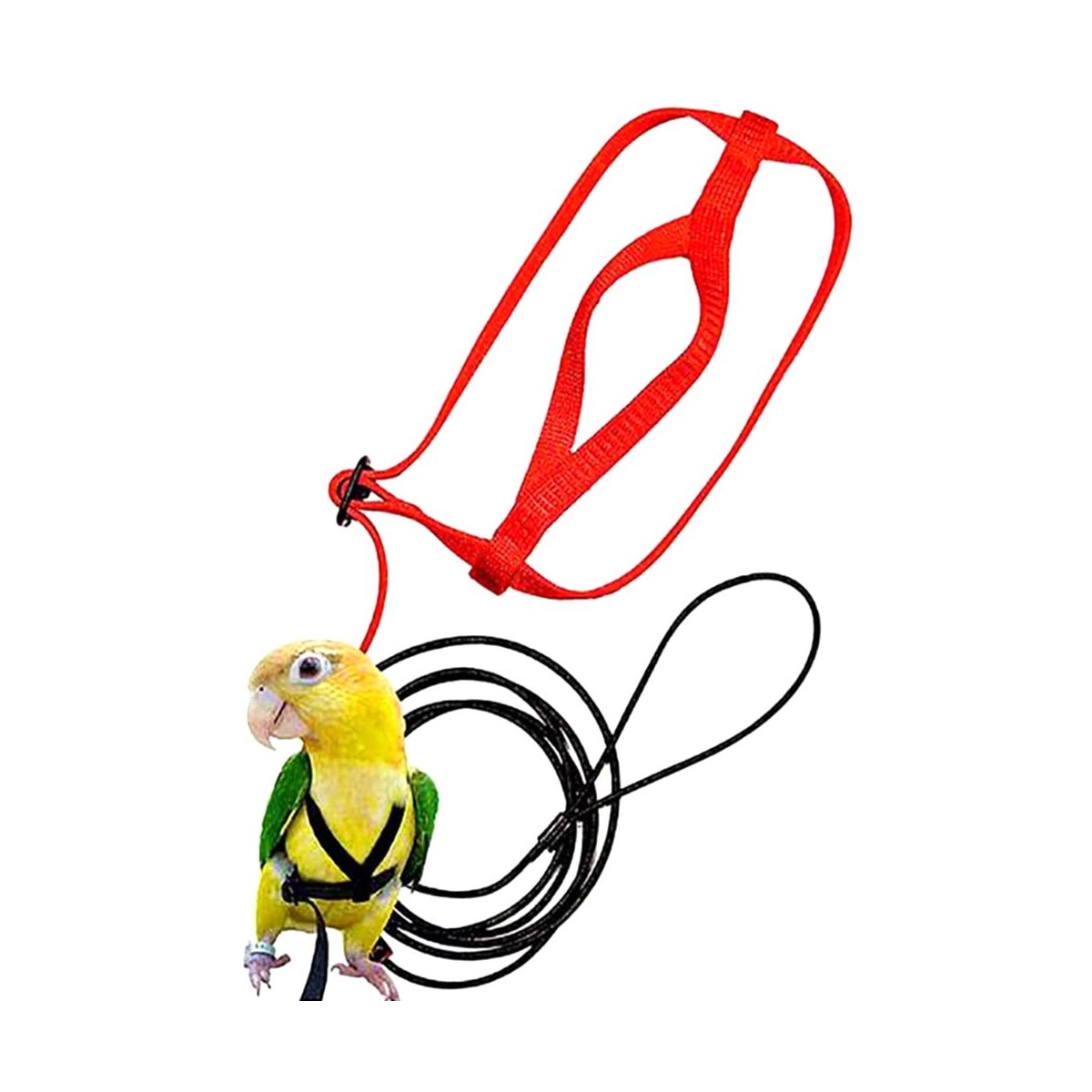 Parrot Bird Harness Leash Outdoor Flying Traction Strap