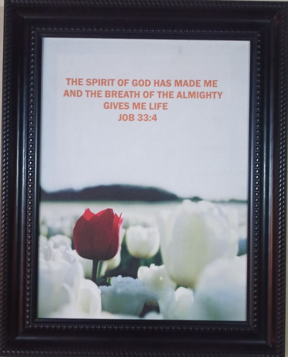 Canvas Wall Art Frame