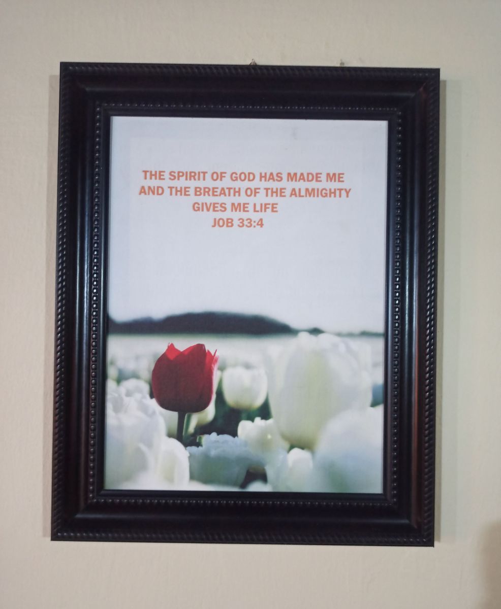 Canvas Wall Art Frame