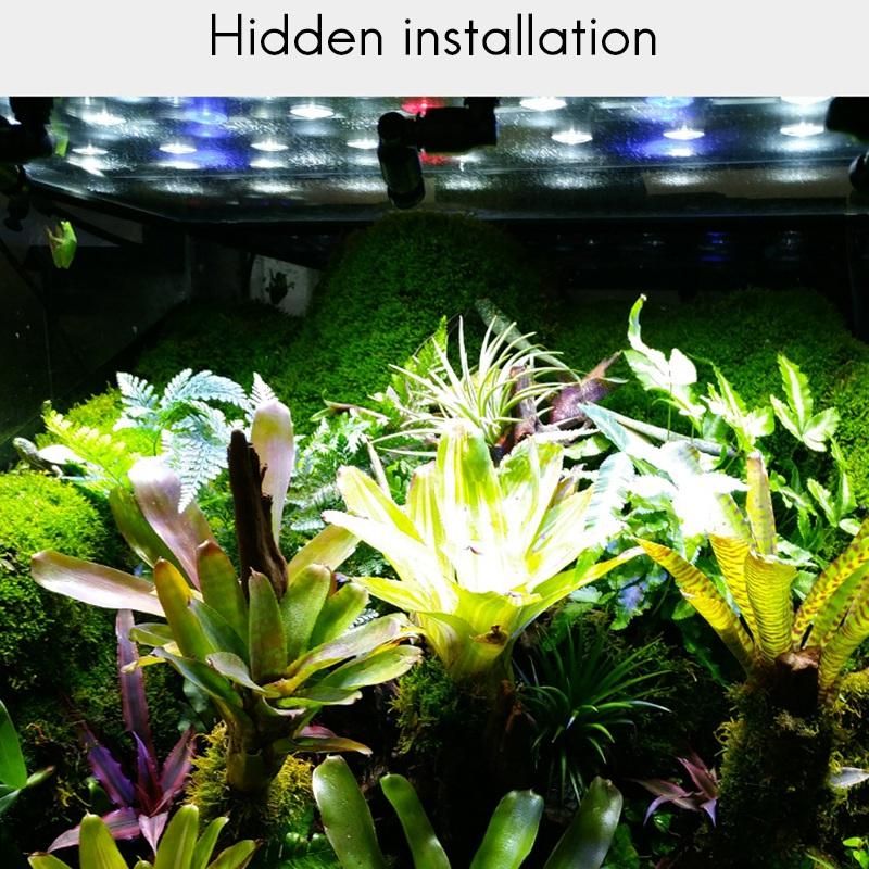 Fogger Mist Sprinkler Rainforest Tank 360 Adjustable Aquarium Aquatic Pet Cooling SystemA