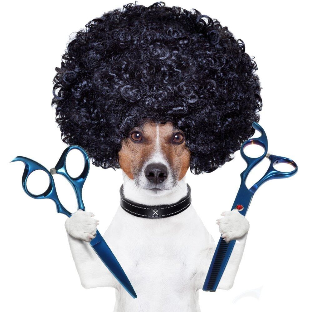 7x Professional Hair Scissors PET DOG Grooming Curved Tool Shears 7" Set