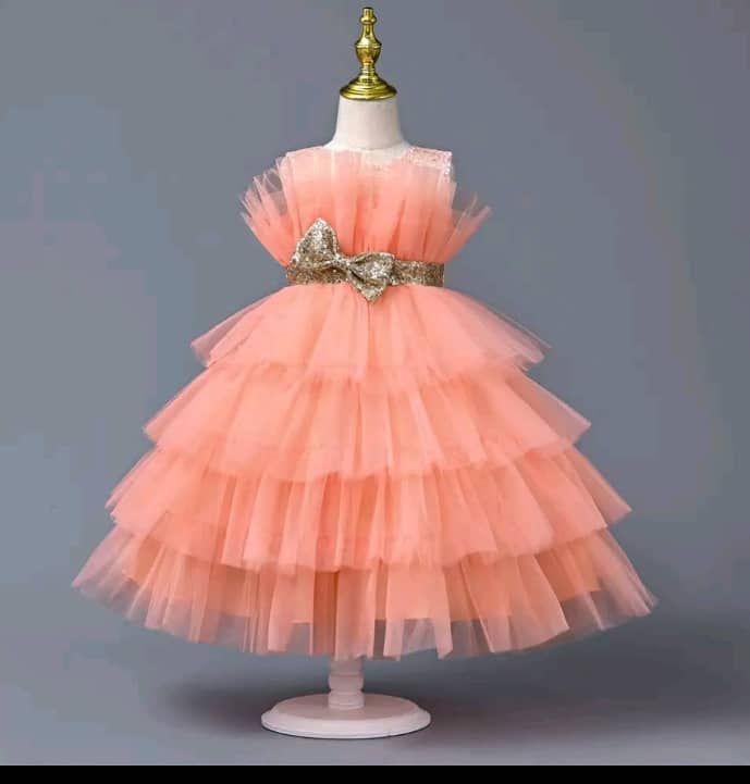 Beautiful Luxury Girls Dress