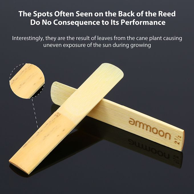 Ammoon Woodwinds Bb Clarinet Traditional Reeds Strength