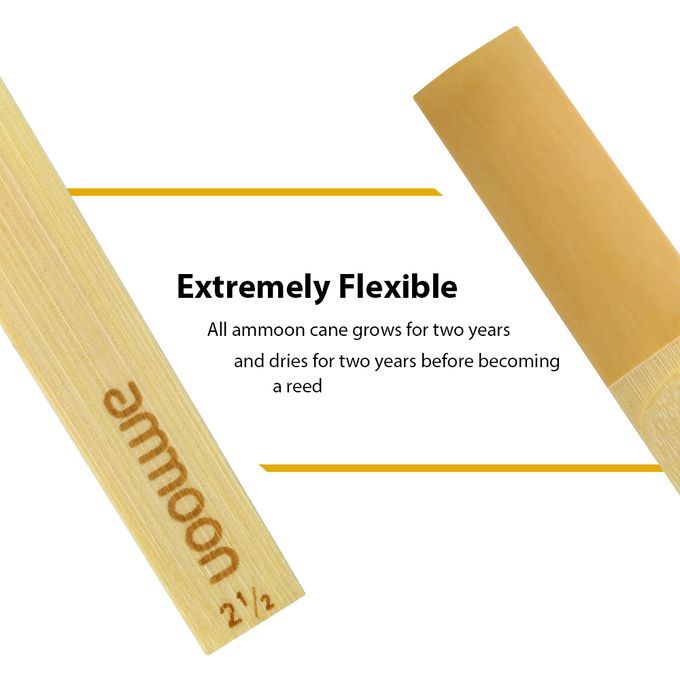 Ammoon Woodwinds Bb Clarinet Traditional Reeds Strength