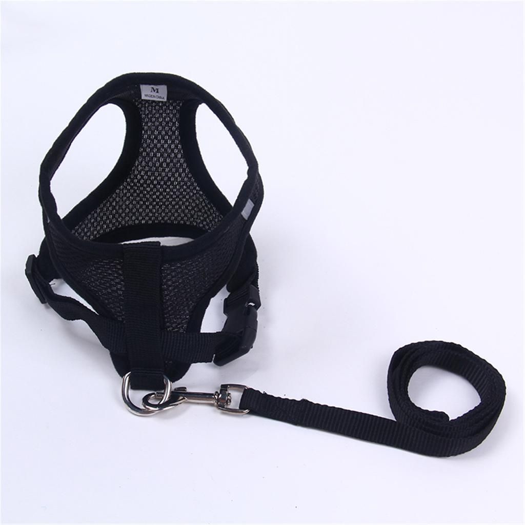 Breathable Teddy Body Harness Pet Puppy Vest Leash Mesh Black - M