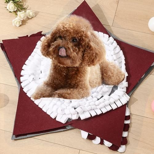 Pet Dog Star Shaped Snuffle Mat Nose Smell Training Blanket Sniffing Pad Slow Feeding Bowl Food Dispenser  Slip Puzzle Toys