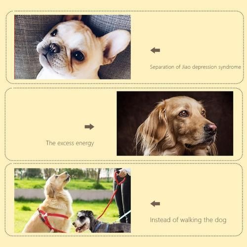 Pet Dog Star Shaped Snuffle Mat Nose Smell Training Blanket Sniffing Pad Slow Feeding Bowl Food Dispenser  Slip Puzzle Toys