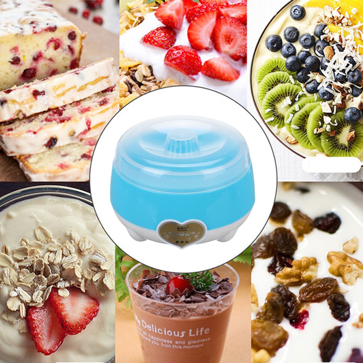 220V 1.0L Yogurt Machine Maker Household Fully Automatic Stainless Steel Small Yogurt Machine Kitchen Tools Stainless Steel Inner /Plastic Inner Blue (Stainless Steel)
