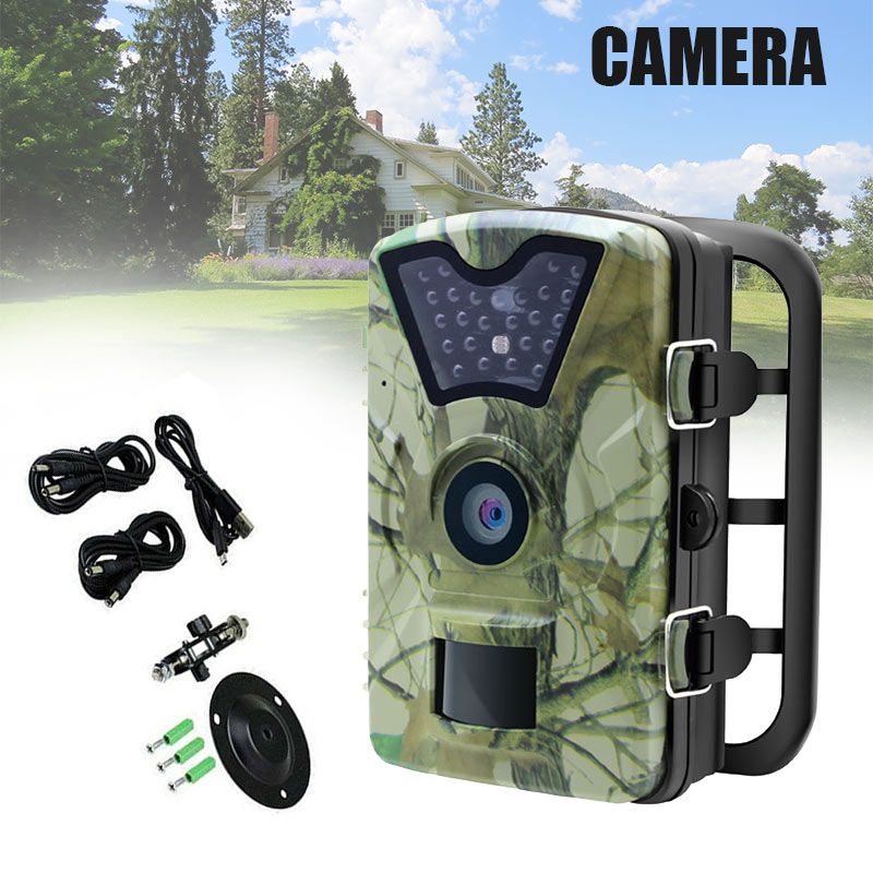 Trail Camera Night Vision