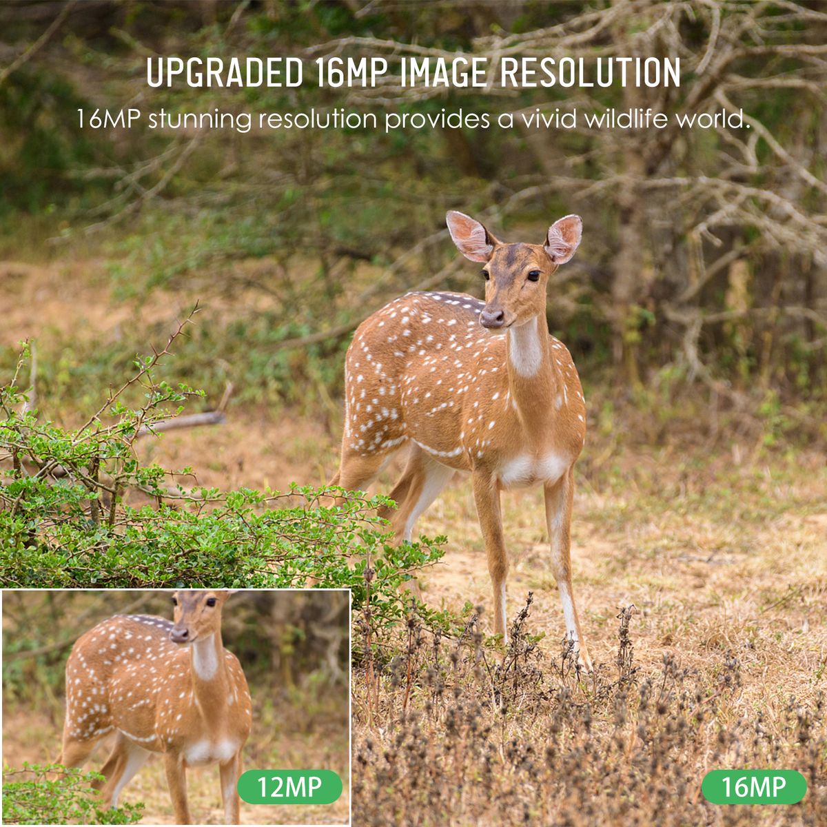 Trail Camera 16MP 4K Waterproof Game Hunting Camera With