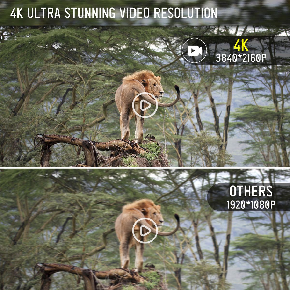 Trail Camera 16MP 4K Waterproof Game Hunting Camera With