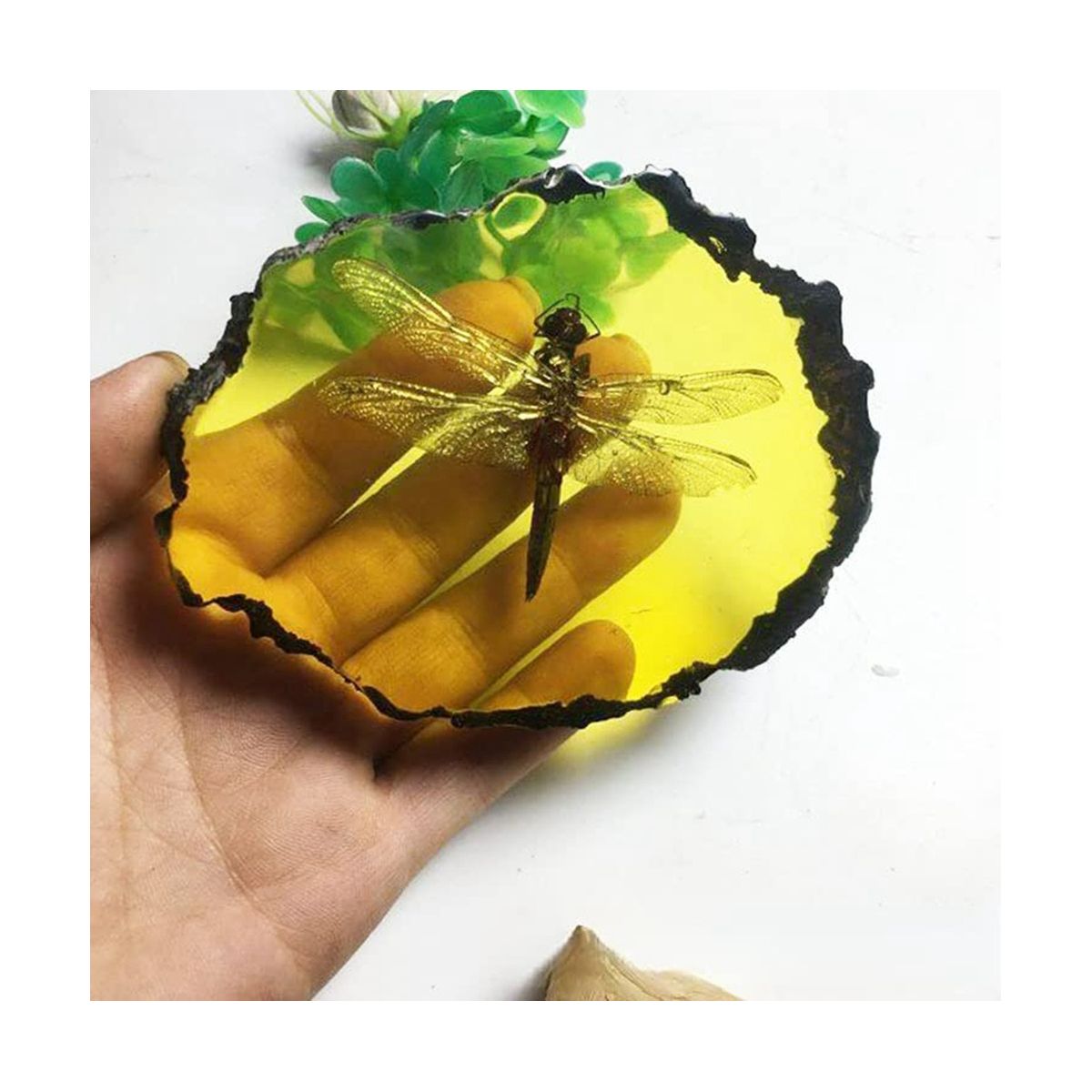 Fossils Insect Samples Artificial Insect,