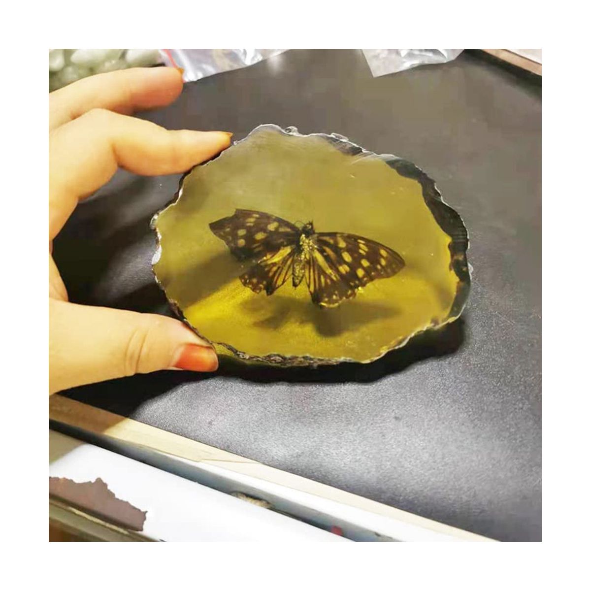 Fossils Insect Samples Artificial Insect,