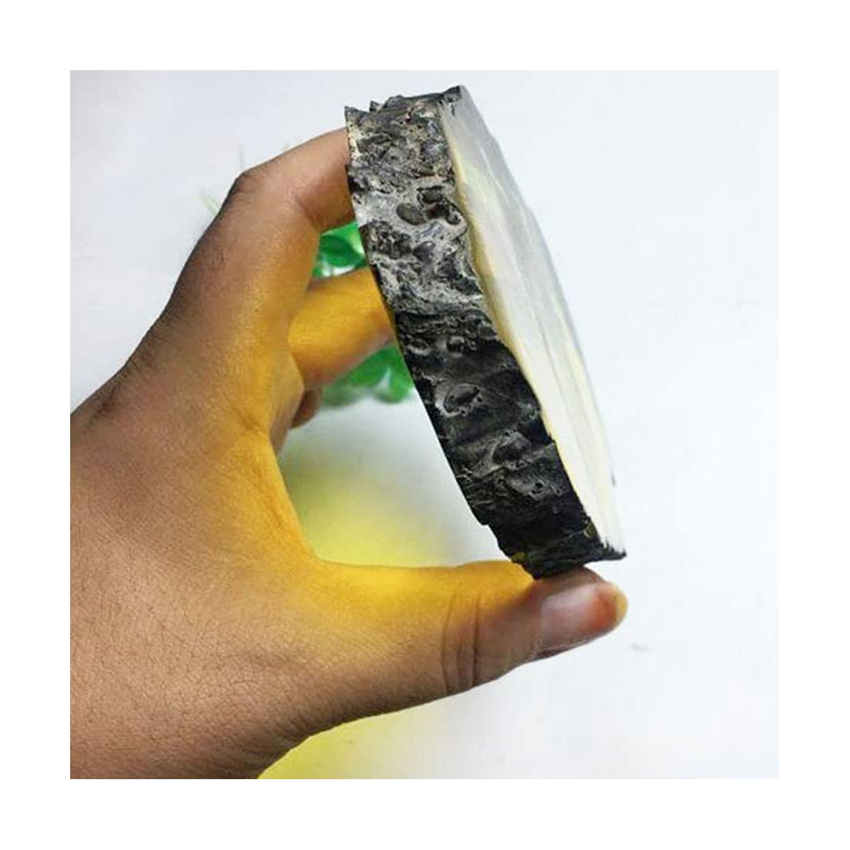 Fossils Insect Samples Artificial Insect,