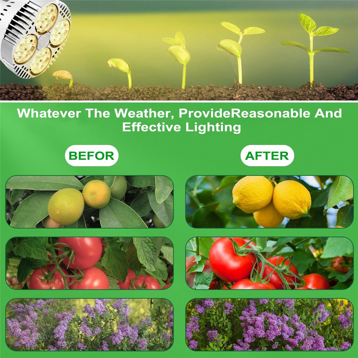 E27 Plant Lamp Light  35W LED Plant Grow Light Full Spectrum Warm White Light for Indoor Garden Greenhouse