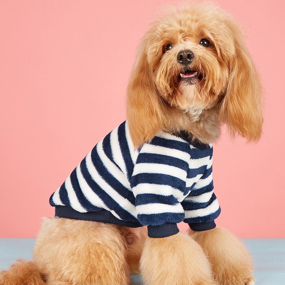 Dog Pullover No Shedding Pet Small Vest Navy Blue