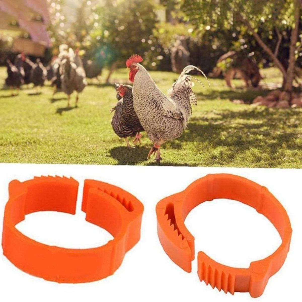 100Pcs Chicken Identification Leg Bands Tags Poultry Leg Bands Bird Leg Bands Duck Leg Bands Clip-on Rings