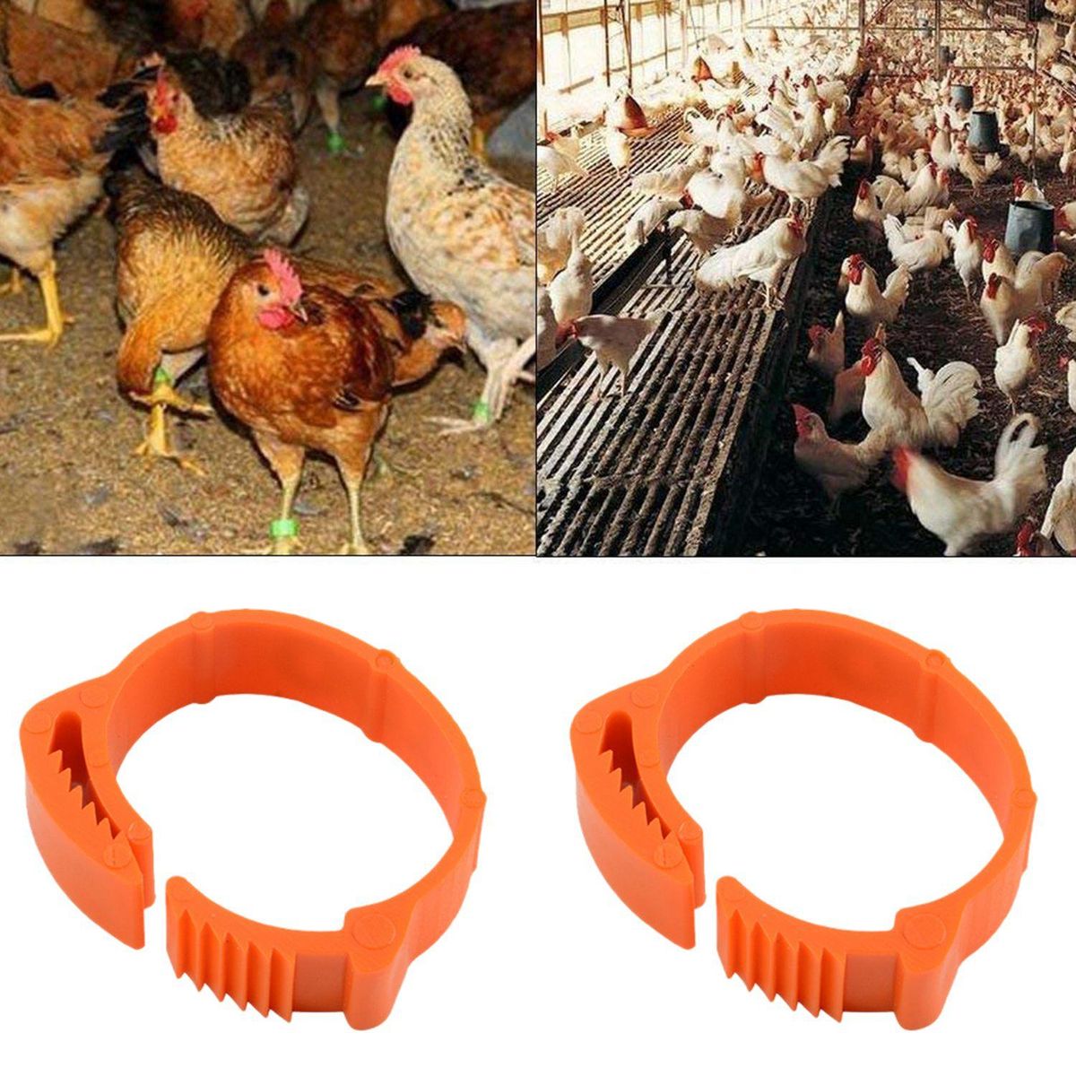100Pcs Chicken Identification Leg Bands Tags Poultry Leg Bands Bird Leg Bands Duck Leg Bands Clip-on Rings