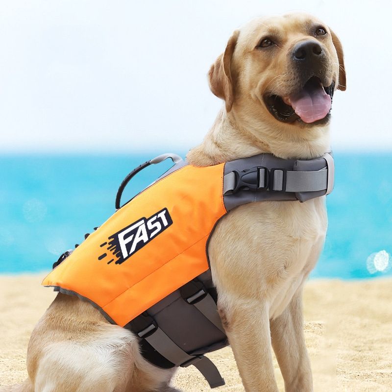 Pet Dog Life Jacket Swimsuit, Size: L