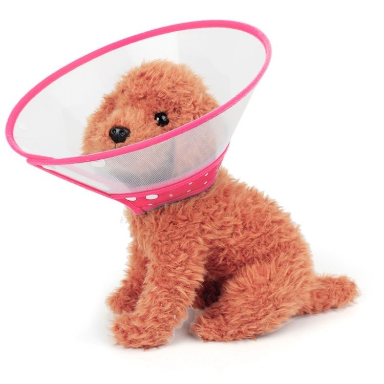 Elizabeth Pet Collar Headgear Ruff Funnel Cover