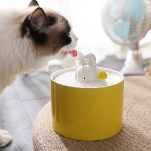 Automatic Cat Water Fountain Ceramic Pet Water Dispenser Electric USB Ultra Quiet Dogs Drinking Bowl 5 Layers Filtration