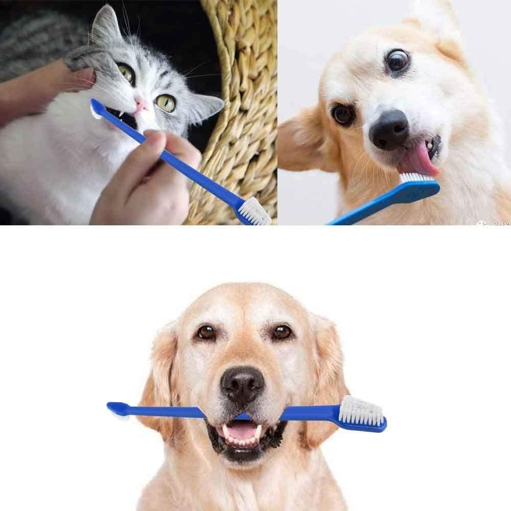 50 Piece Cat Dog Pet Toothbrush Set Double Headed Convenient Dental Finger Brushes for Safe Dog Cat Dental Care