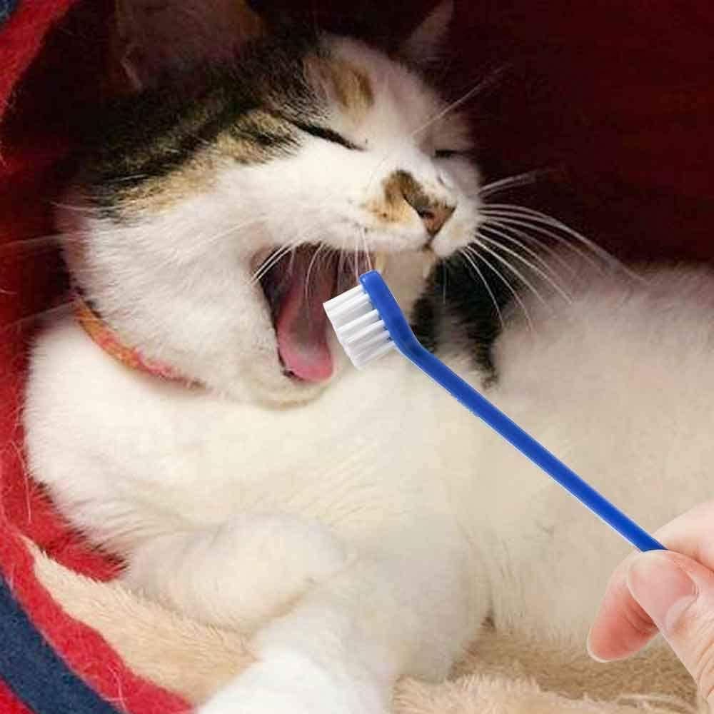 50 Piece Cat Dog Pet Toothbrush Set Double Headed Convenient Dental Finger Brushes for Safe Dog Cat Dental Care