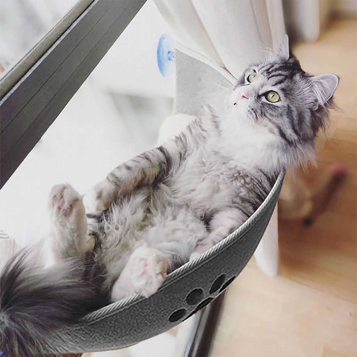 Cat Window Hammock Suction Cups Replacement Suction Cups 4