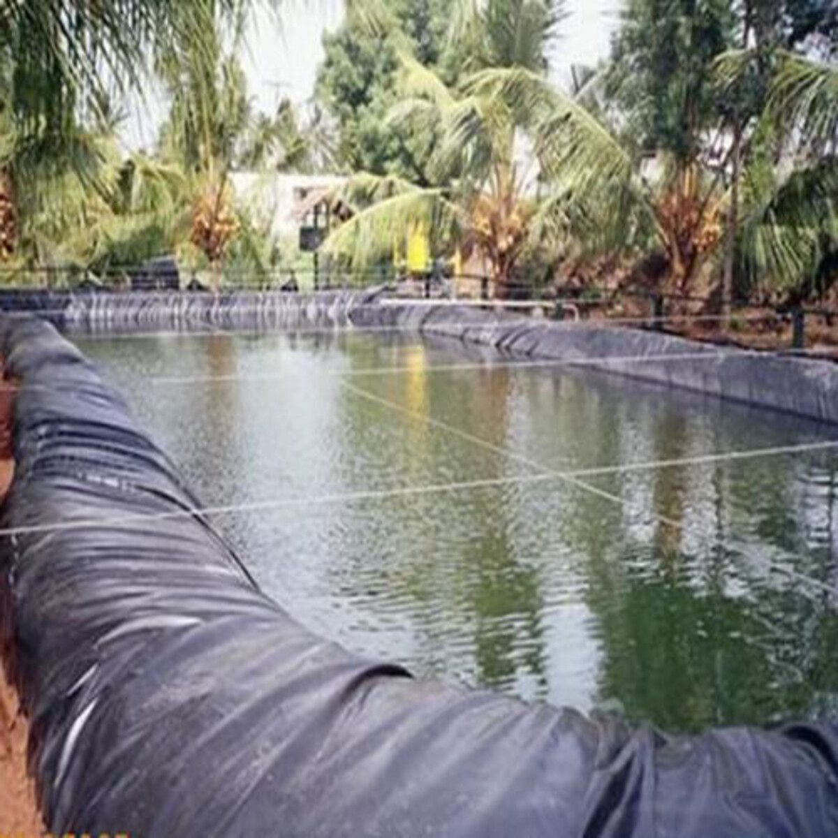 2m-5m12s 9.8FT HDPE Fish Pool Pond Liner Membrane Reinforced Gardens Pool Landscaping 3m X 5m