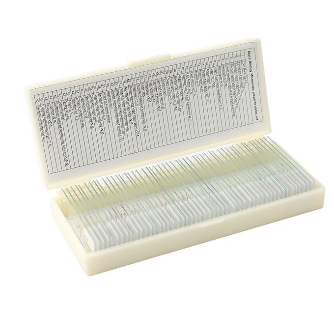 50PCS/Set Biological Glass Sample Prepared Basic Animal