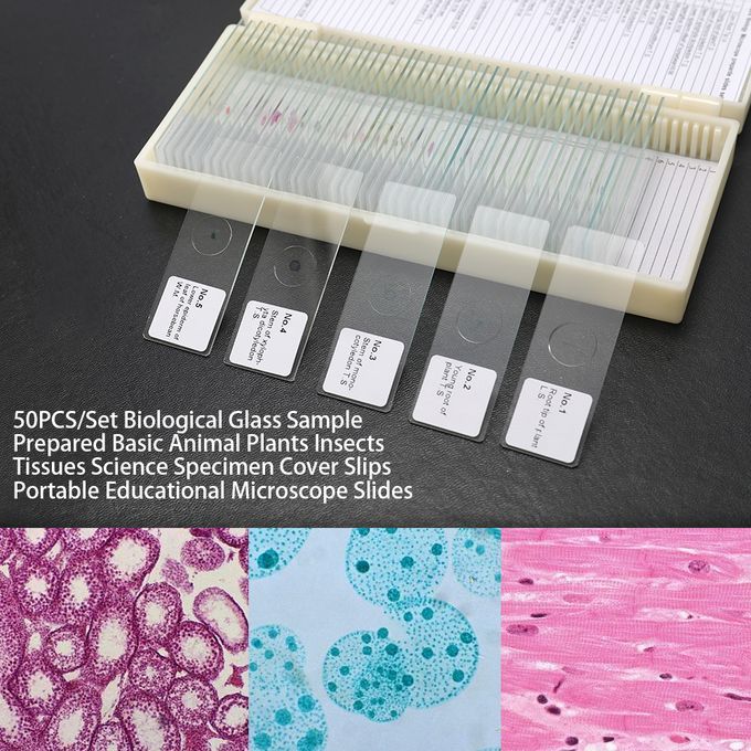 50PCS/Set Biological Glass Sample Prepared Basic Animal