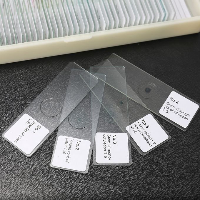 50PCS/Set Biological Glass Sample Prepared Basic Animal