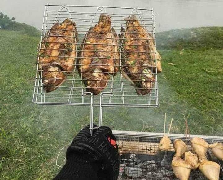 BBG Grillng Net