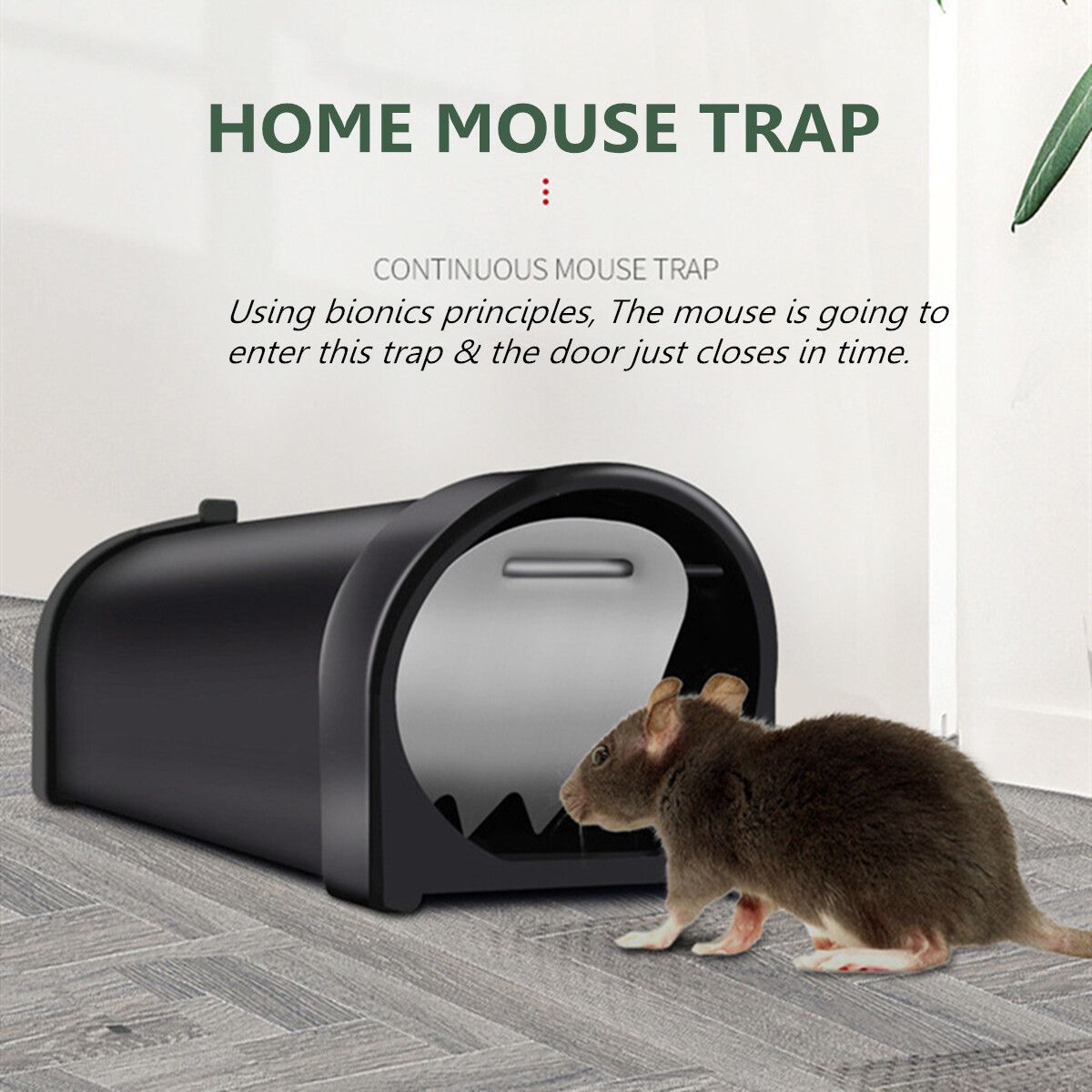 1x Black Automatic Mouse Trap Case Rat Catcher Cage Mice Rodent Pest Humane