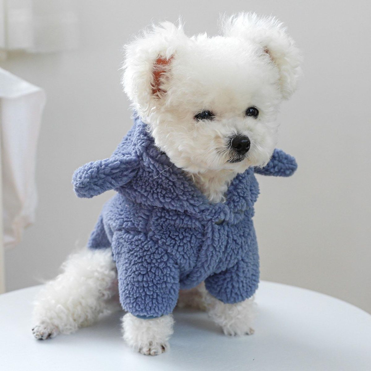 Travel Dog Costume Cozy Shark Sweatshirt with Hat Stylish Pet for Wear Blue