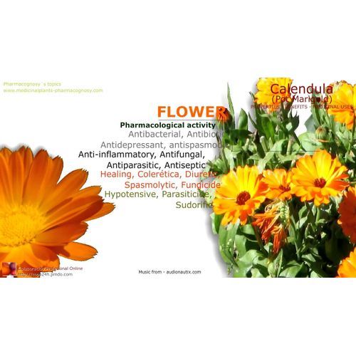 Caladula (Marigold) Petal - 100g