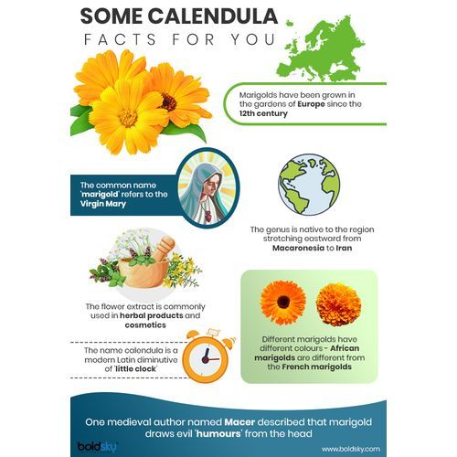 Caladula (Marigold) Petal - 100g