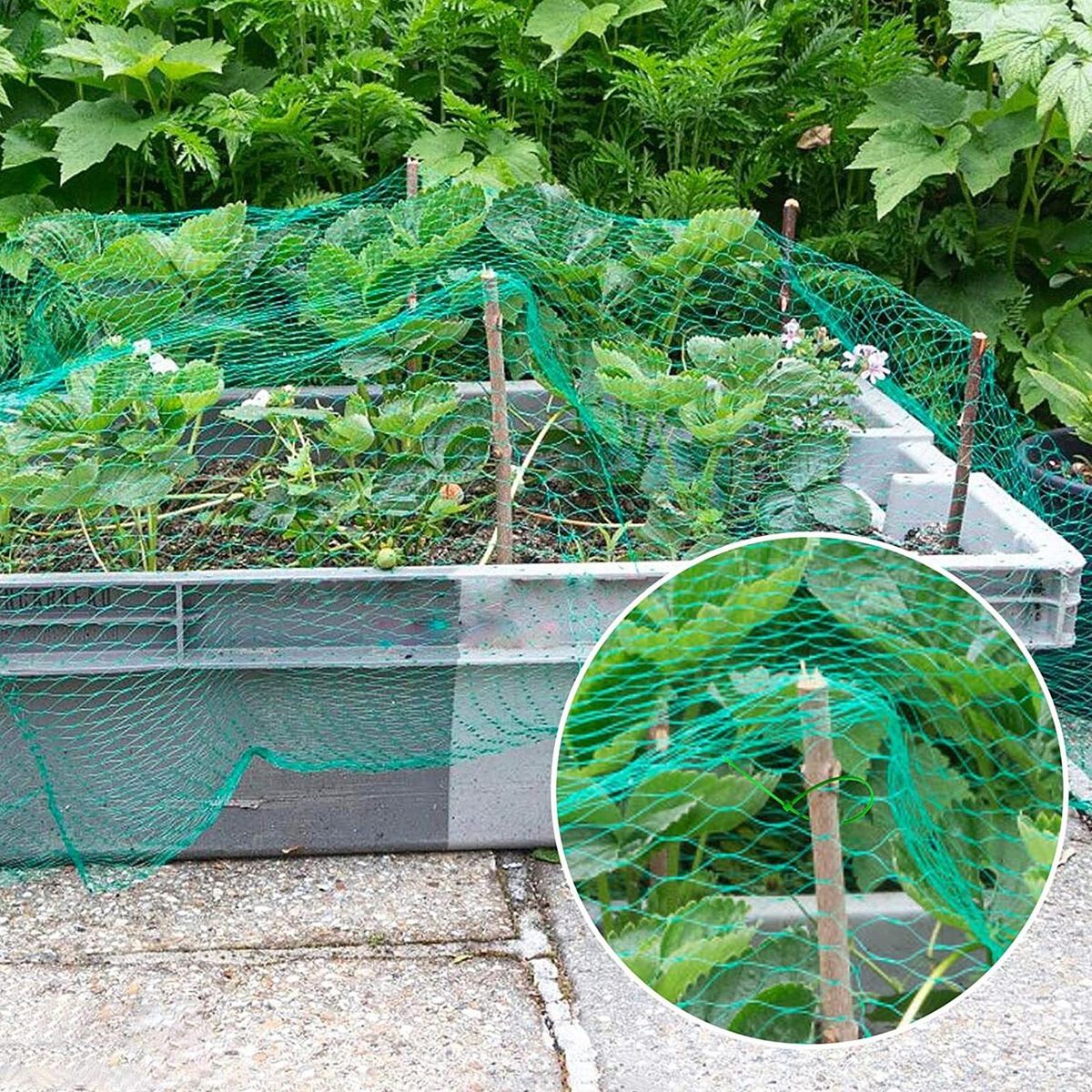 1 Set Bird Netting Grape Plant Protection Anti-bird Net with Installation Nail Green