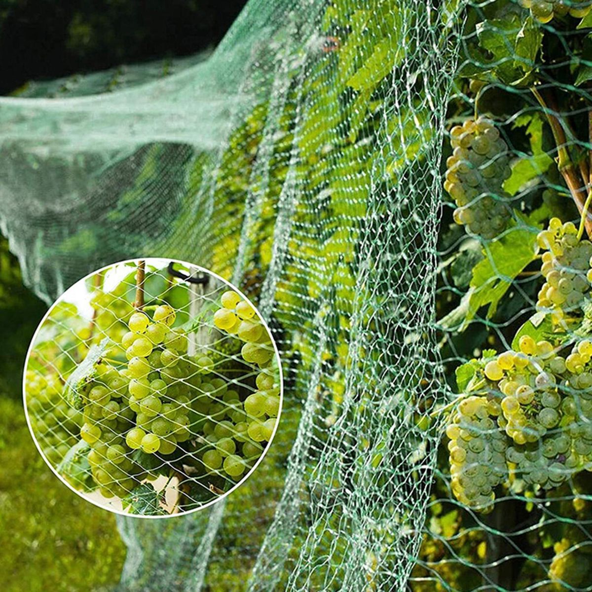 1 Set Bird Netting Grape Plant Protection Anti-bird Net with Installation Nail Green