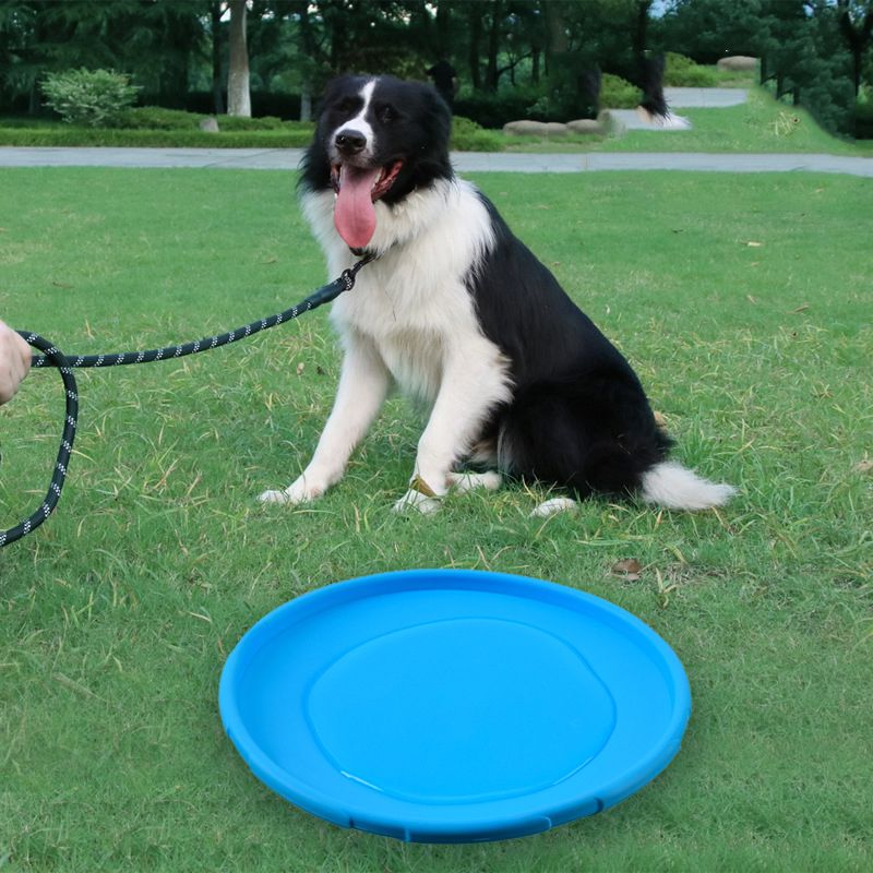Dog Flying Disc Silicone Game Frisbeed Anti-Chew Dog Toy