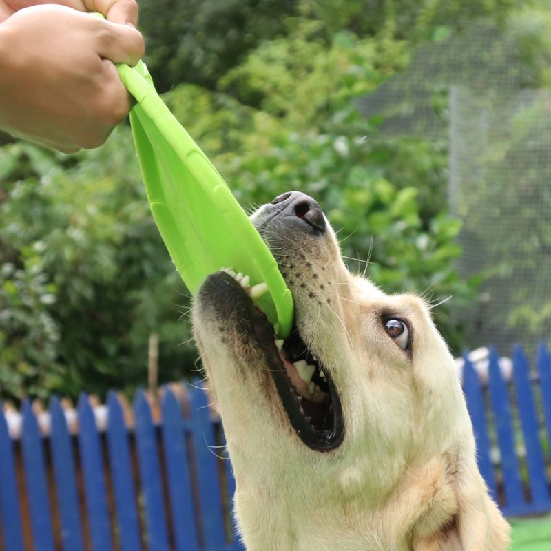 Dog Flying Disc Silicone Game Frisbeed Anti-Chew Dog Toy