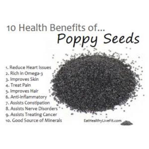 Organic Blue Poppy Seeds -100g