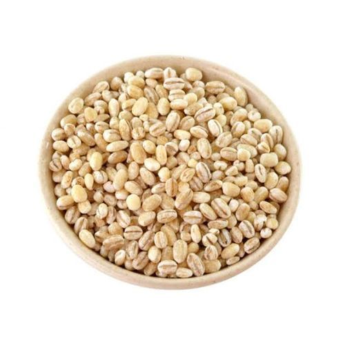 Organic Pearled Barley Seed - 1kg
