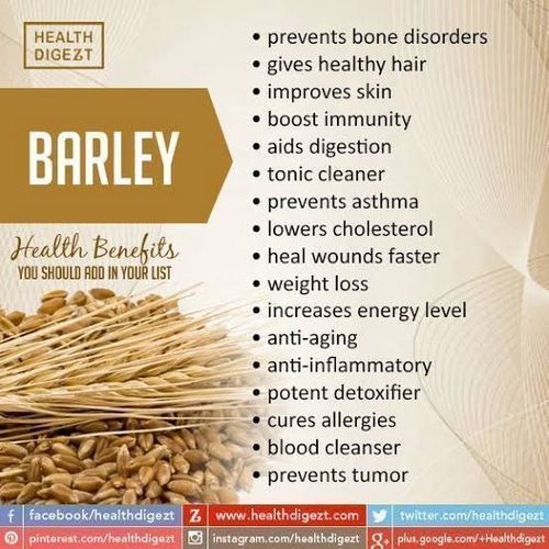 Organic Pearled Barley Seed - 1kg