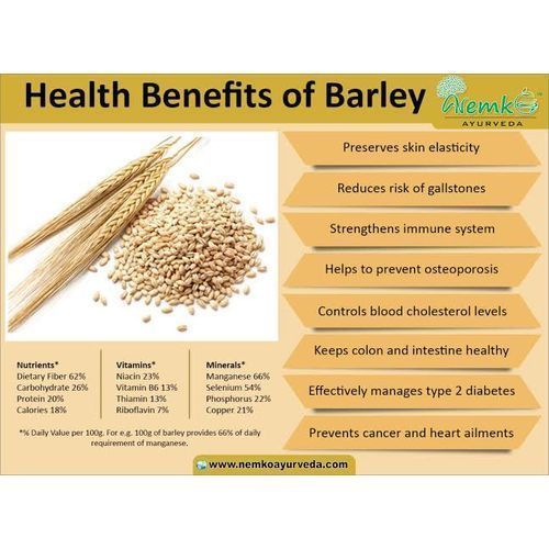 Organic Pearled Barley Seed - 1kg