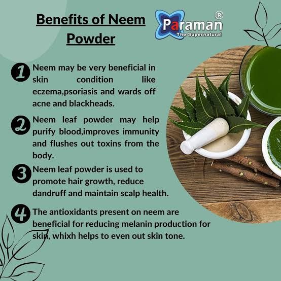 Organic Neem Powder